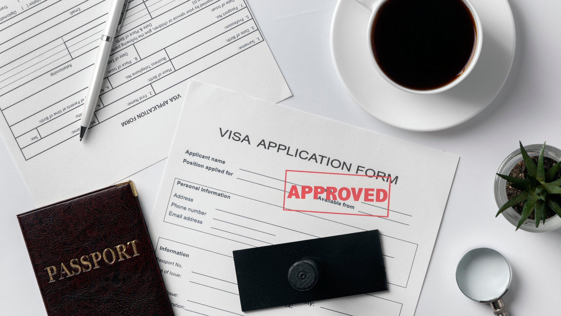 Entrepreneurs africains développant leurs activités à Maurice dans un environnement stable et connecté à l’international