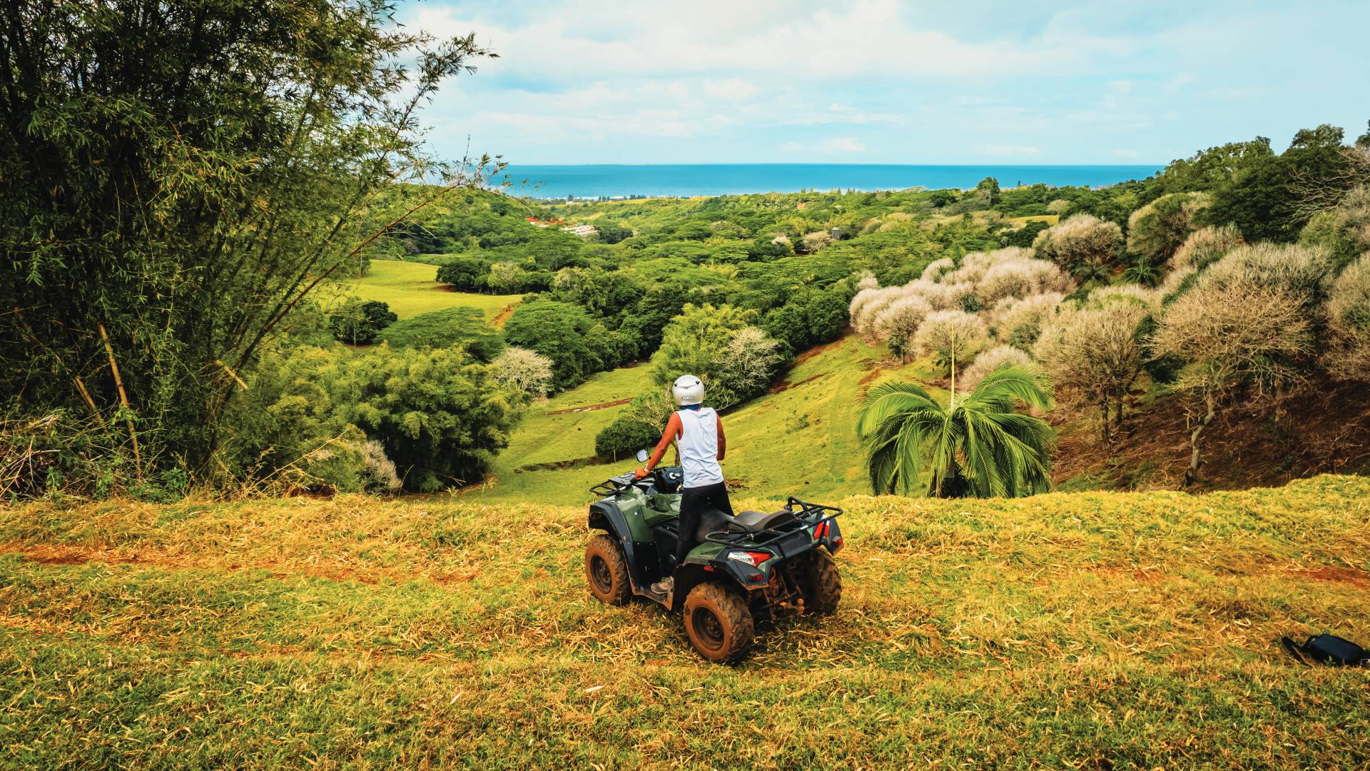 Mauritius Attraction : Bel Ombre Nature Reserve