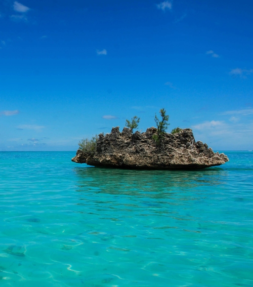 mauritius may