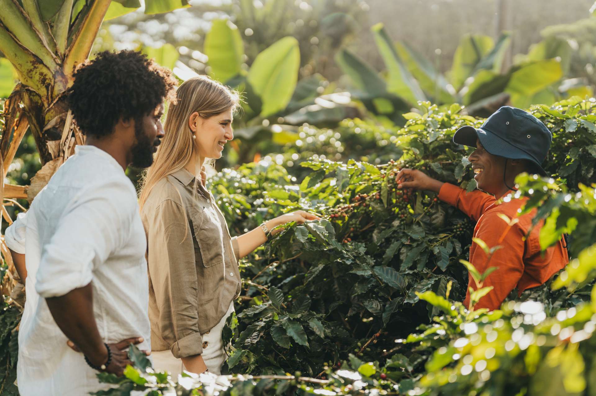 Coffee Plantation Tour
