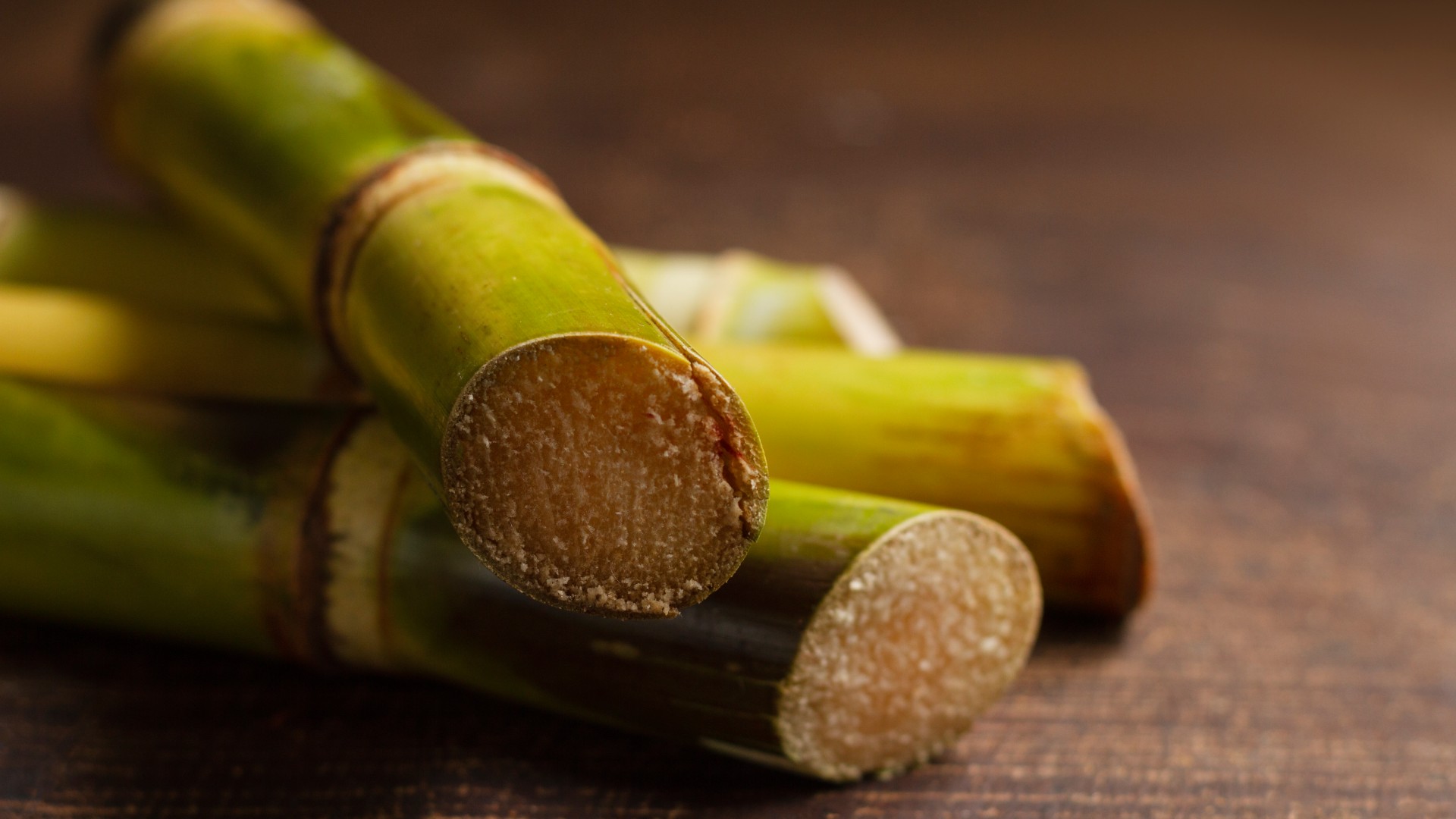 Sugarcane