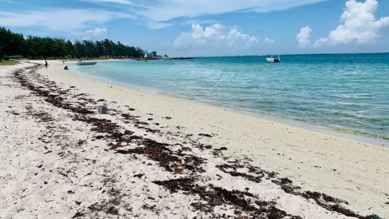 Belle Mare Beach