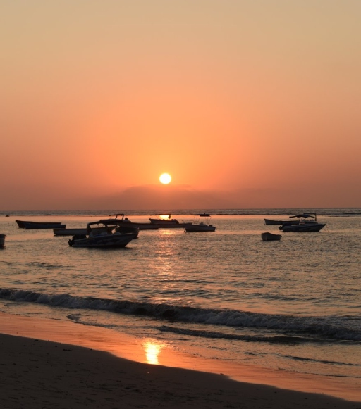 august mauritius